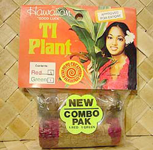 Misc Plants