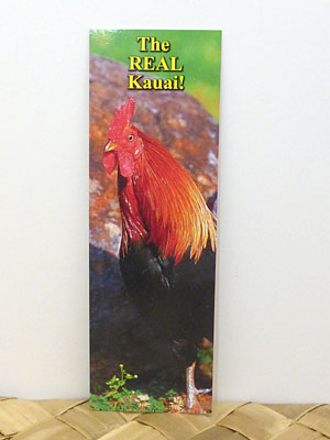 Bookmarks