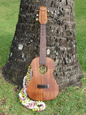 Made in Hawaii
