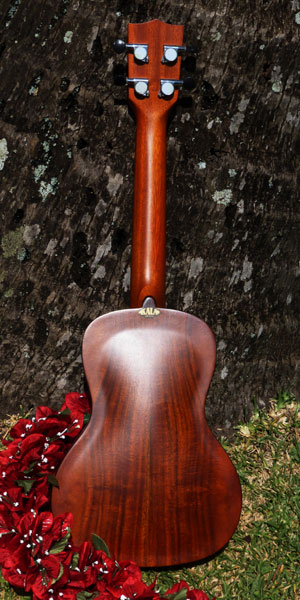 Concert`Ukulele - Kala Traveling Concert